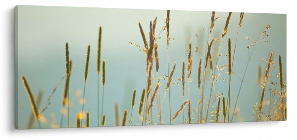 Obraz - Lúčny okamih (120x50 cm)