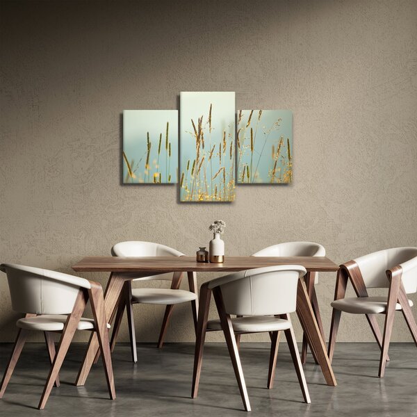 Obraz - Lúčny okamih (90x60 cm)