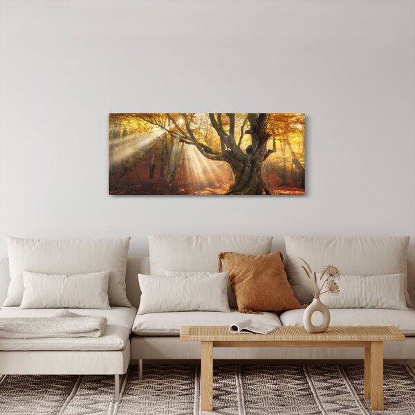 Obraz - Jesenný svit (120x50 cm)