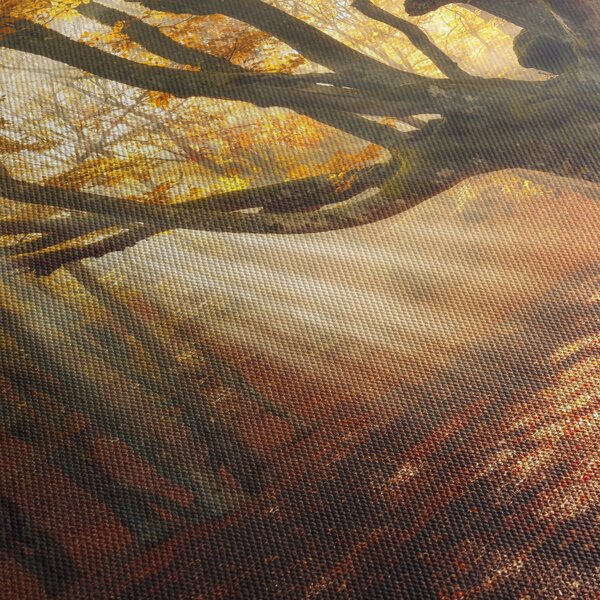 Obraz - Jesenný svit (120x50 cm)