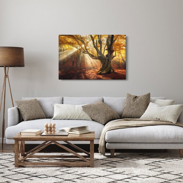 Obraz - Jesenný svit (90x60 cm)