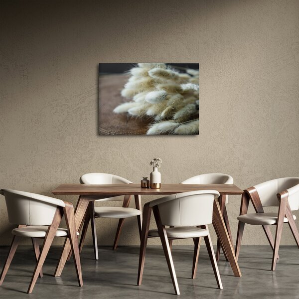 Obraz - Zajačí chvostík (70x50 cm)