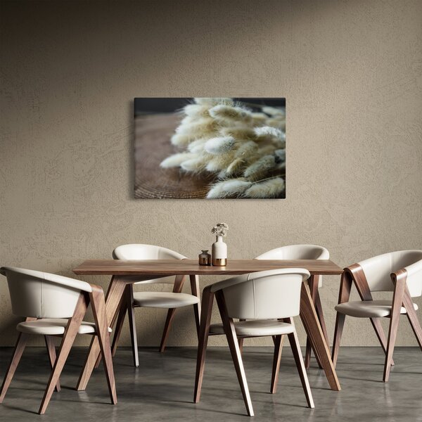 Obraz - Zajačí chvostík (90x60 cm)