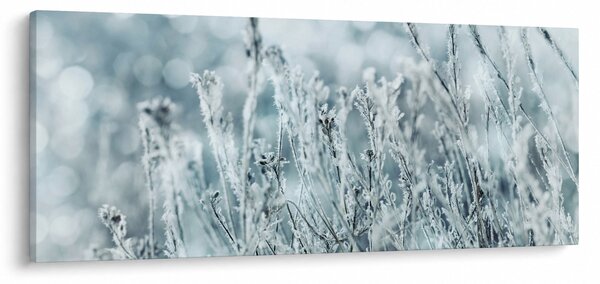 Obraz - Kúzlo zimy (120x50 cm)