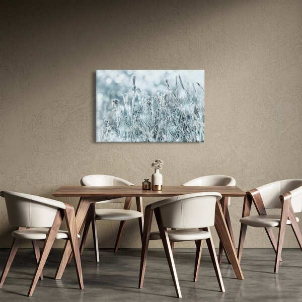Obraz - Kúzlo zimy (90x60 cm)