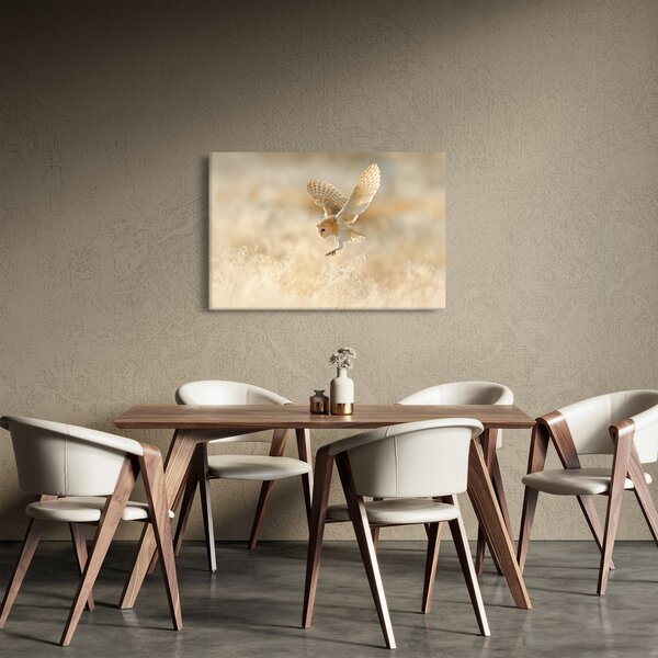 Obraz - Sova (90x60 cm)