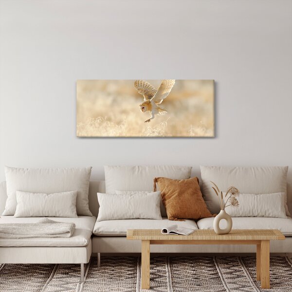 Obraz - Sova (120x50 cm)