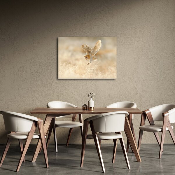Obraz - Sova (70x50 cm)