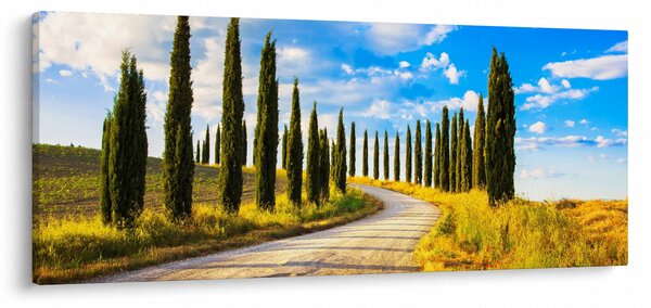 Obraz - Krajina (120x50 cm)