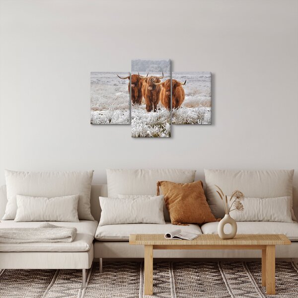 Obraz - Škótske kravy (90x60 cm)