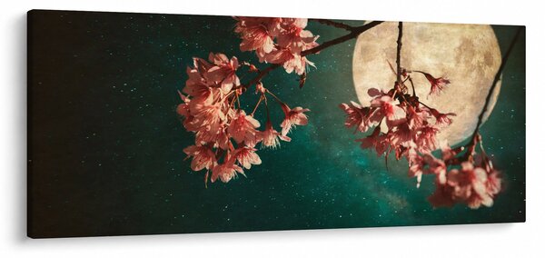Obraz - Sakura v splne (120x50 cm)