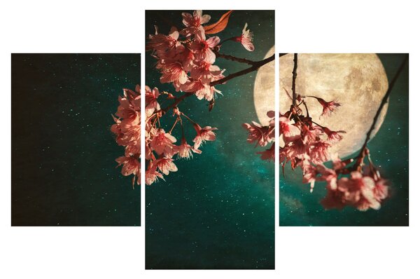 Obraz - Sakura v splne (90x60 cm)