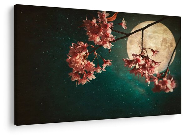 Obraz - Sakura v splne (90x60 cm)