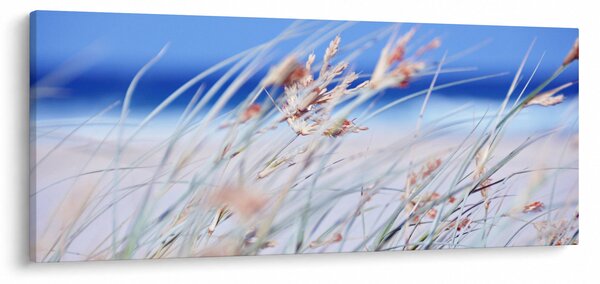 Obraz - Vánok (120x50 cm)