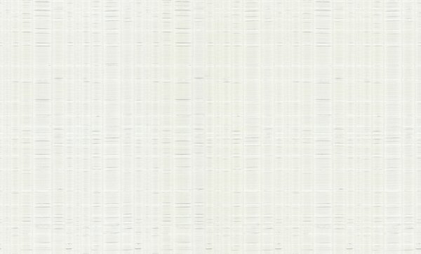 Luxusná bielo-strieborná vliesová tapeta, 86040, Valentin Yudashkin 5, Emiliana Parati