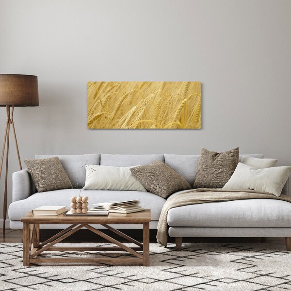 Obraz - Jačmeň (120x50 cm)