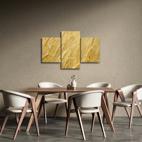 Obraz - Jačmeň (90x60 cm)