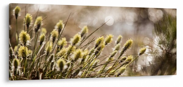 Obraz - Zeleň (120x50 cm)