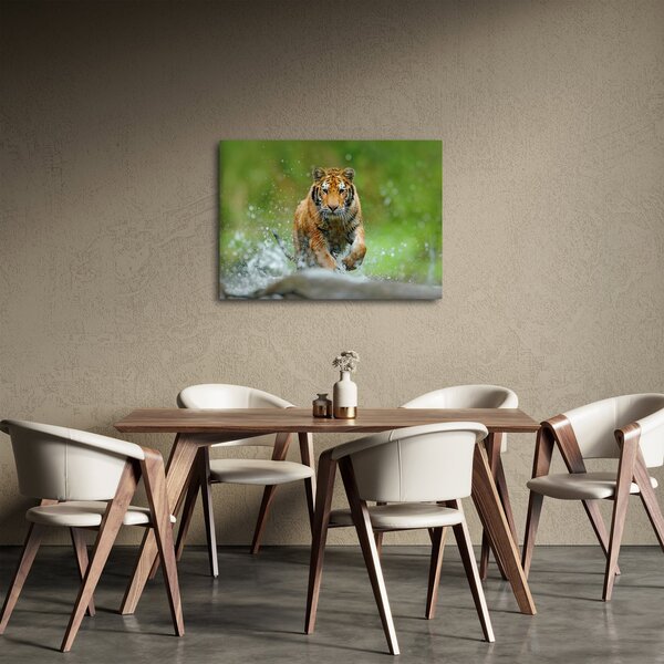 Obraz - Bežiaci tiger (70x50 cm)
