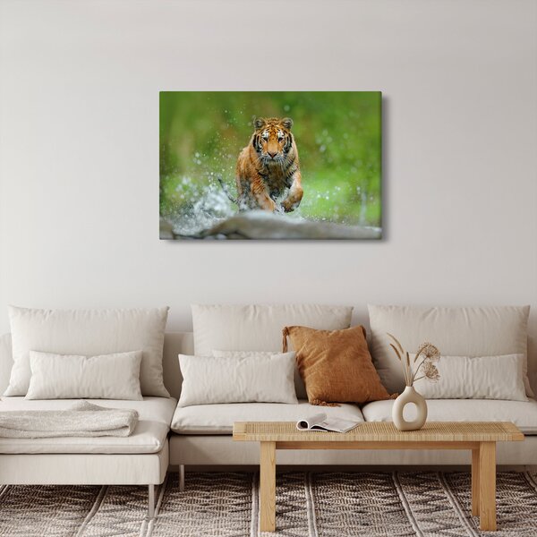 Obraz - Bežiaci tiger (90x60 cm)