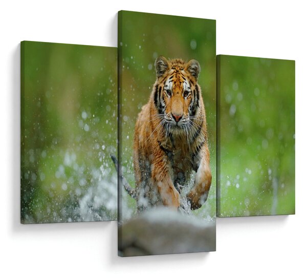 Obraz - Bežiaci tiger (90x60 cm)