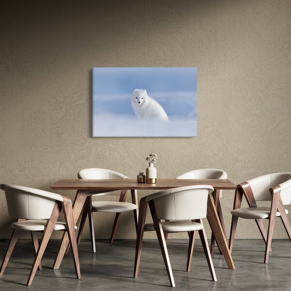 Obraz - Polárna líška (90x60 cm)