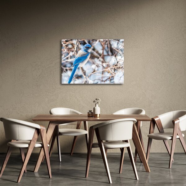 Obraz - Zimný vtáčik (70x50 cm)
