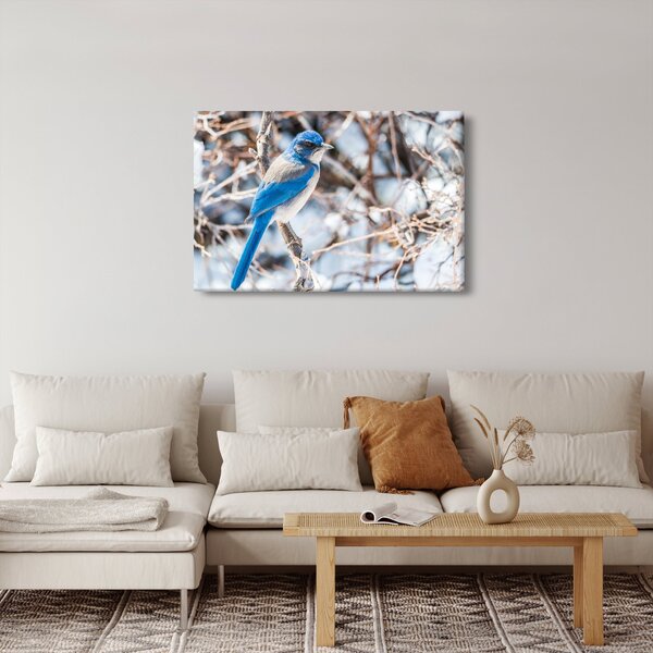 Obraz - Zimný vtáčik (90x60 cm)
