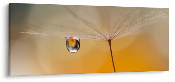 Obraz - Makro kvetu (120x50 cm)