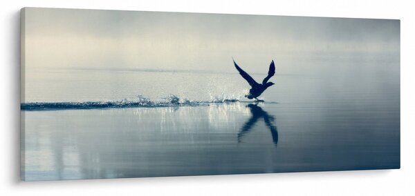 Obraz - Potáplica (120x50 cm)