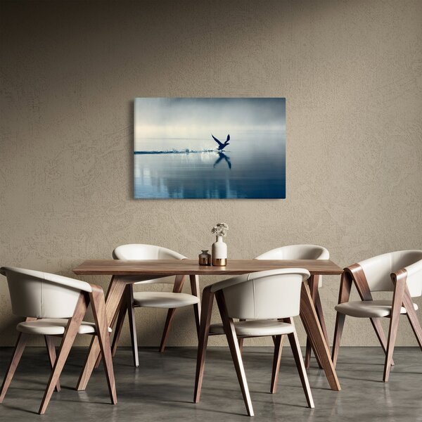 Obraz - Potáplica (90x60 cm)
