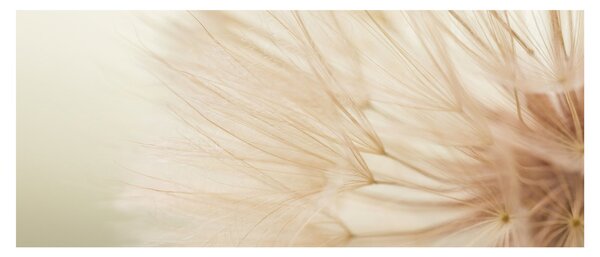 Obraz - Detaily kvetu (120x50 cm)