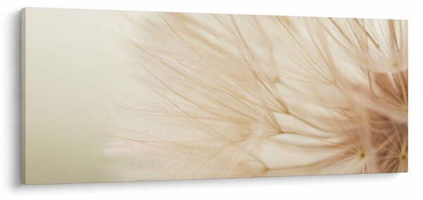 Obraz - Detaily kvetu (120x50 cm)