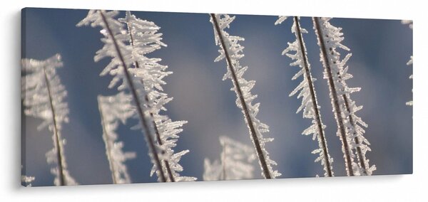 Obraz - Mrazík (120x50 cm)