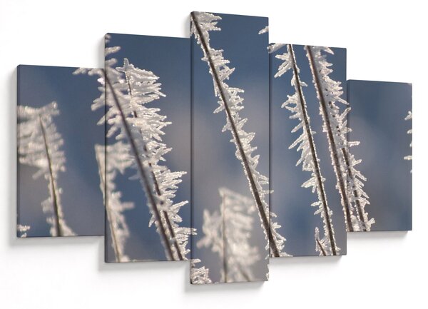 Obraz - Mrazík (150x105 cm)