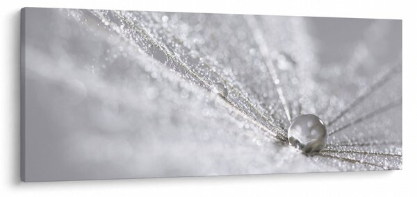 Obraz - Kvapka vody (120x50 cm)