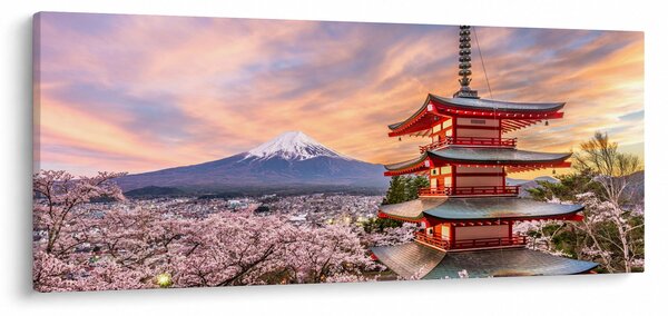 Obraz - Fudži, Japonsko (120x50 cm)