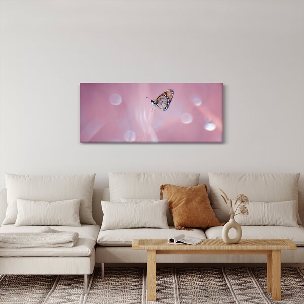 Obraz - Motýlik (120x50 cm)