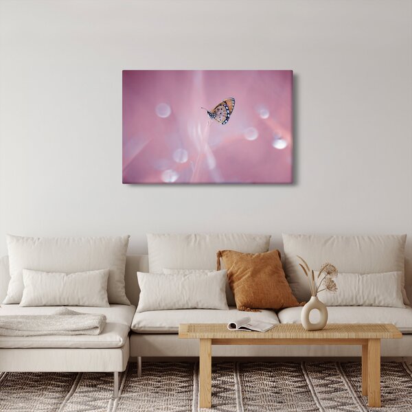 Obraz - Motýlik (90x60 cm)