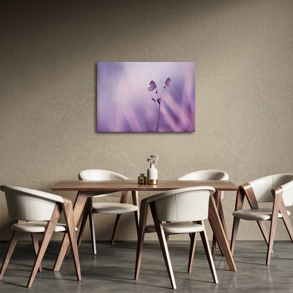 Obraz - Fialové motýliky (70x50 cm)