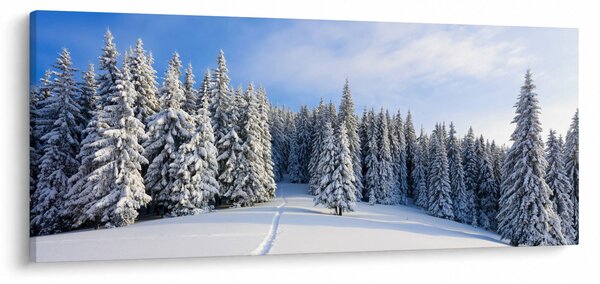 Obraz - Zima v lesoch (120x50 cm)