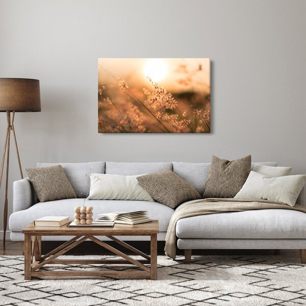 Obraz - Tráva na slnku (90x60 cm)