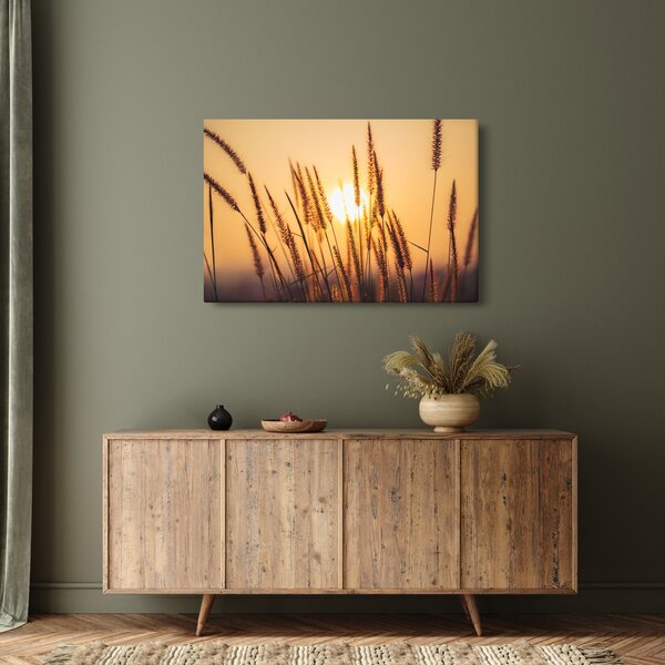 Obraz - Traviny na slnku (90x60 cm)