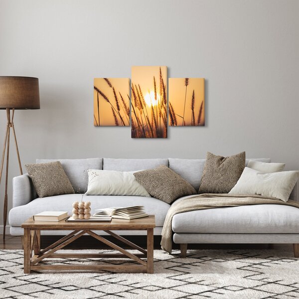 Obraz - Traviny na slnku (90x60 cm)