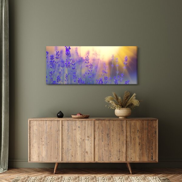 Obraz - Levanduľa (120x50 cm)