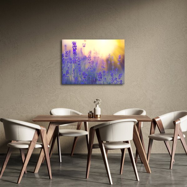 Obraz - Levanduľa (70x50 cm)