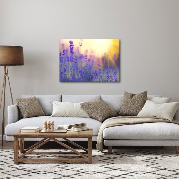 Obraz - Levanduľa (70x50 cm)