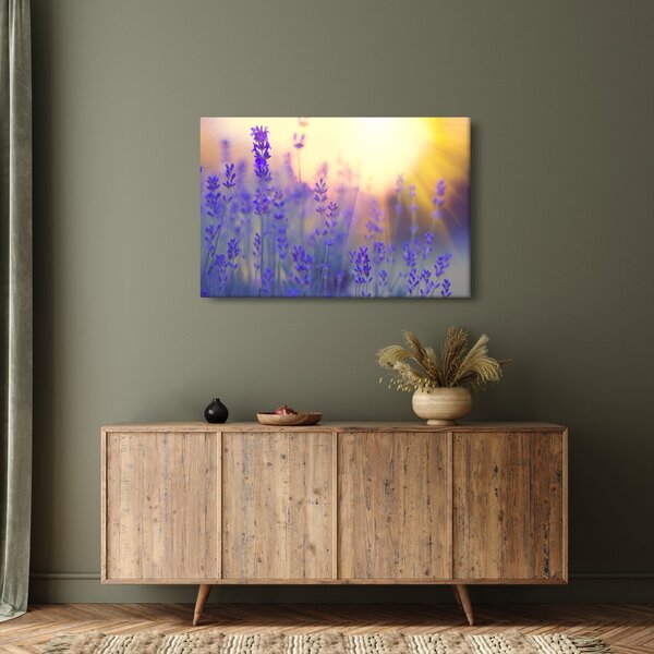 Obraz - Levanduľa (90x60 cm)