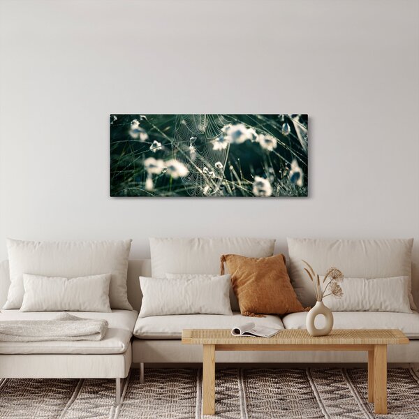 Obraz - Pavučina (120x50 cm)