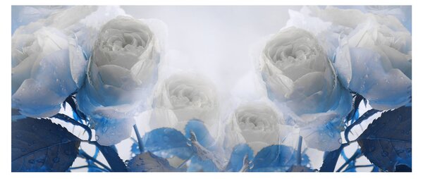 Obraz - Biele ruže (120x50 cm)